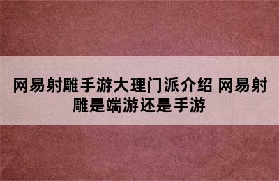 网易射雕手游大理门派介绍 网易射雕是端游还是手游